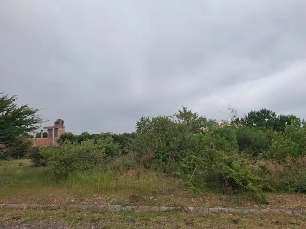 Terreno en venta en El Saucillo de Primavera, Unión de San Antonio — foto 3 de 4
