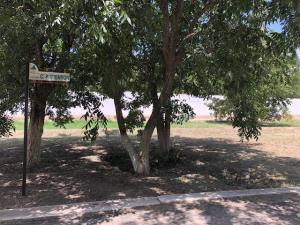 Terreno en San Armando, Torreón, Coahuila de Zaragoza — foto 1 de 20