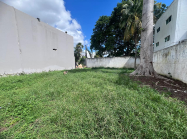 Terreno en venta en Montecristo, Mérida — foto 2 de 6
