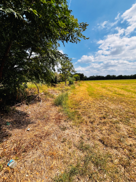 Terreno en venta en Agua Fría, Apodaca — foto 3 de 10