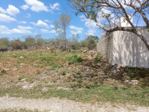 Terreno en venta en Cholul, Mérida — foto 2 de 3