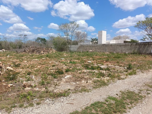 Terreno en venta en Cholul, Mérida — foto 3 de 3