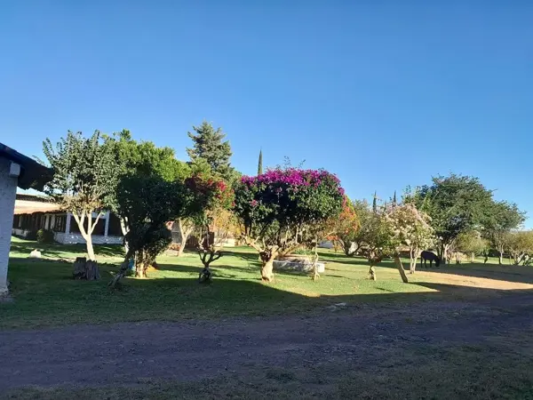 Terreno en venta en Obrera, Morelia — foto 2 de 8