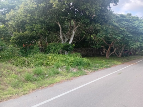 Terreno en Venta en San Antonio Hool, Dzityá — foto 1 de 7