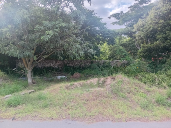 Terreno en venta en San Antonio Hool, Mérida — foto 2 de 7
