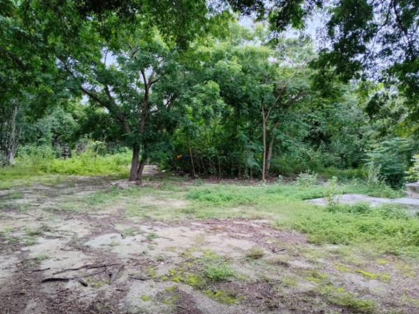 Terreno en venta en San Antonio Hool, Mérida — foto 3 de 7