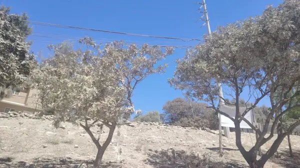Terreno en venta en La Gloria, Tijuana — foto 2 de 7