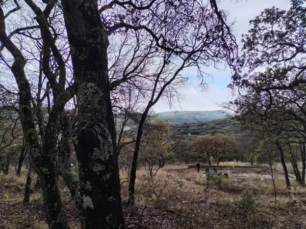 Terreno en Venta en Sierra de Vergel, San Felipe, Gto. — foto 1 de 8
