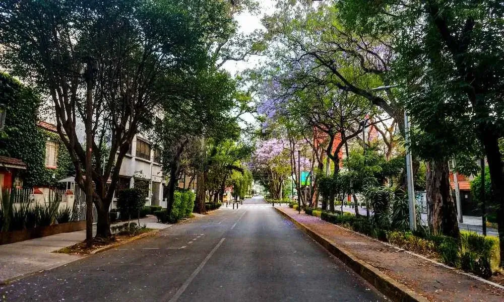Comprar casa en zona metropolitana