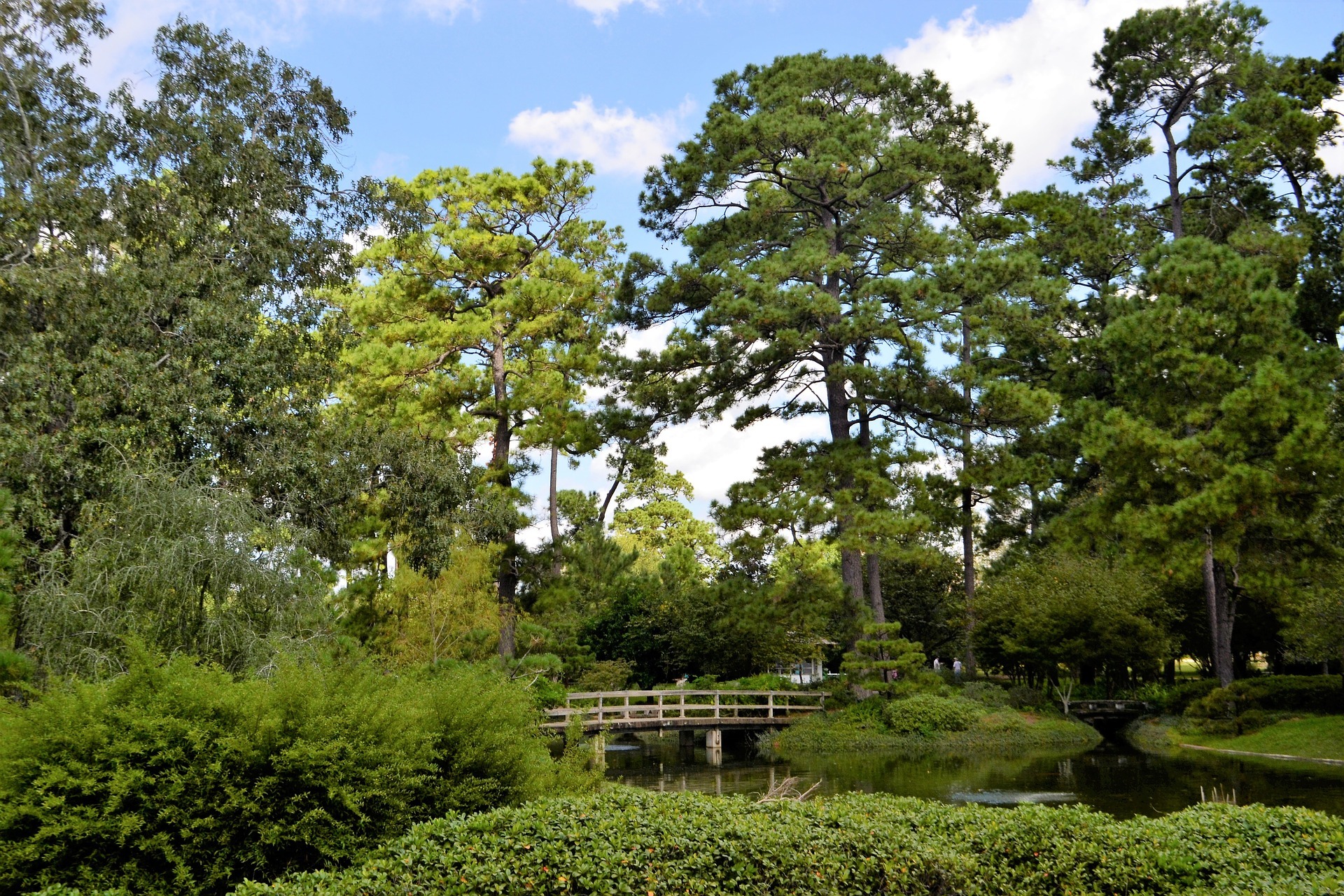 American Healthcare Staffing Association Ahsa Nomad