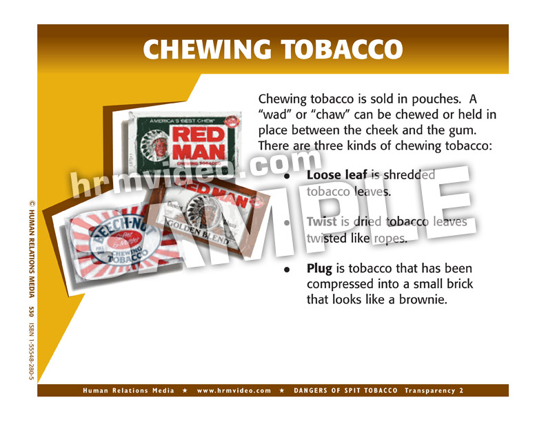 Dangers of Spit Tobacco PowerPoint or Transparencies Human Relations