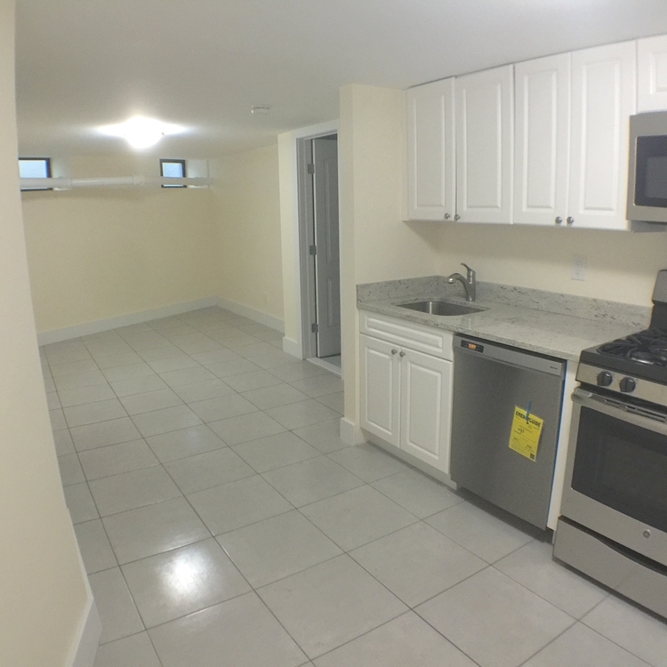 287 E 18th St Unit Basement in Flatbush, Brooklyn Nooklyn