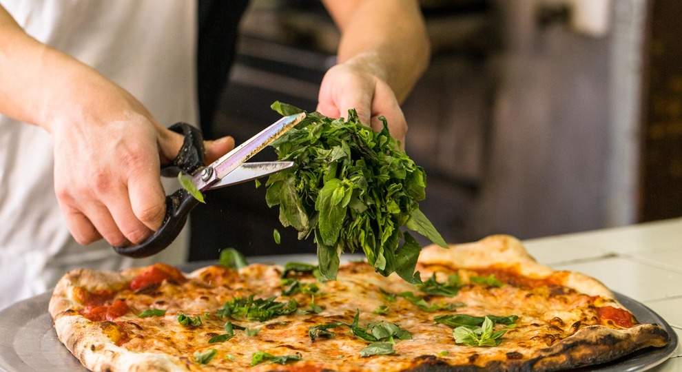 Midwood, Brooklyn Neighborhood Guide Nooklyn