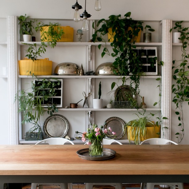 juicebox café on 1517 12th Ave 100 in Uncategorized Powered by Nooklyn