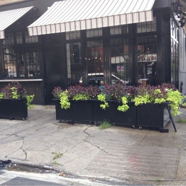 Basil Pizza & Wine Bar on 270 Kingston Ave in Crown Heights Powered