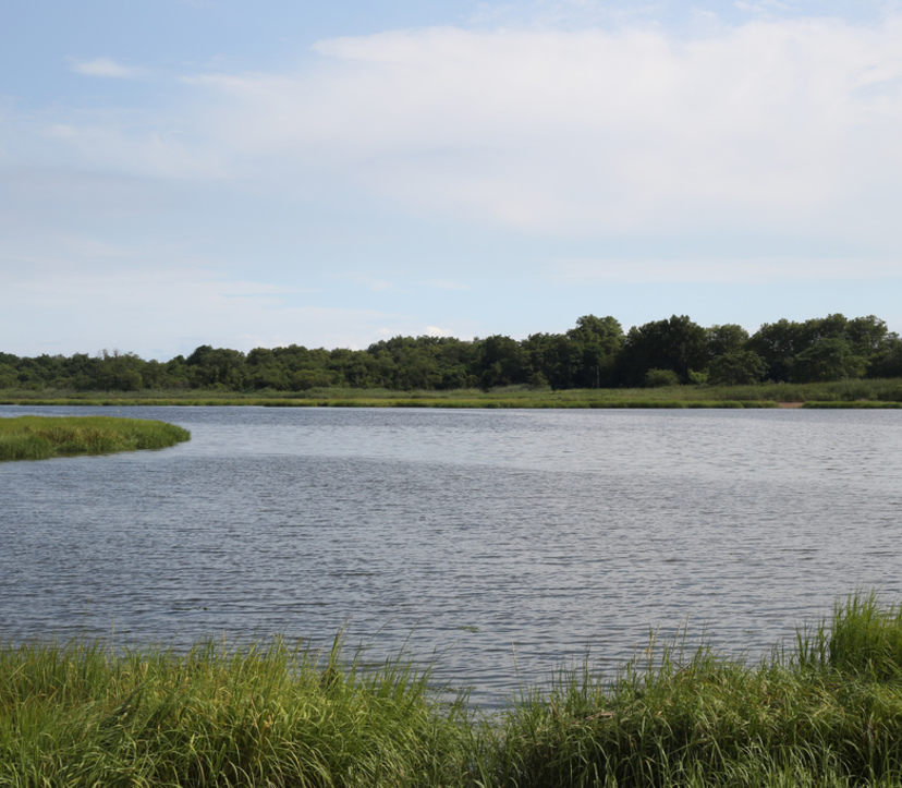 1 BEDROOM APARTMENT FOR RENT IN MARINE PARK BROOKLYN NY intelligence overview