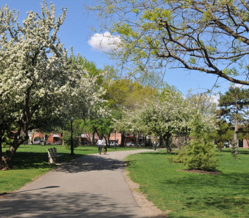 Middle Village, Queens Neighborhood Guide