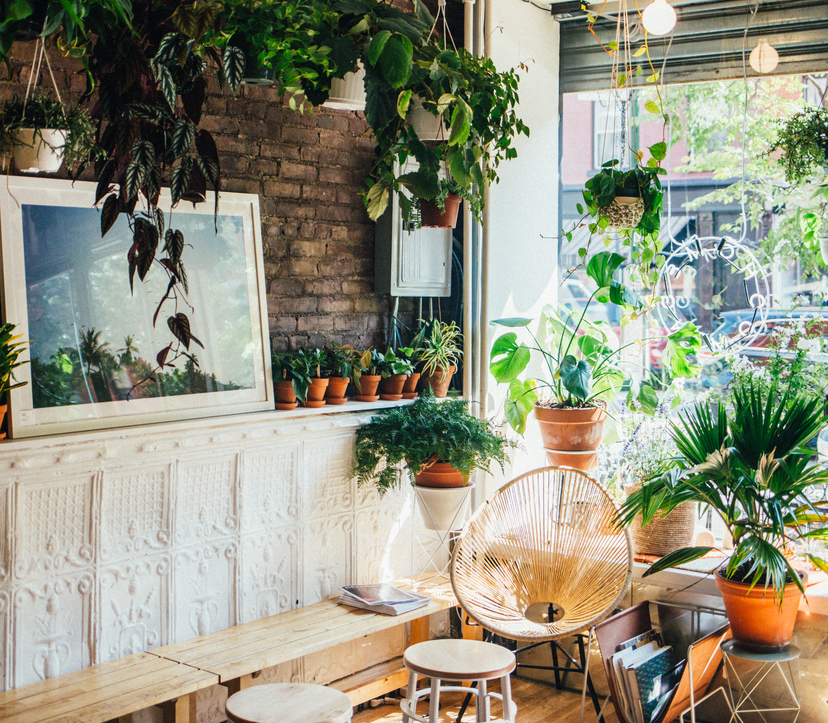 Greenpoint, Brooklyn Neighborhood Guide Nooklyn