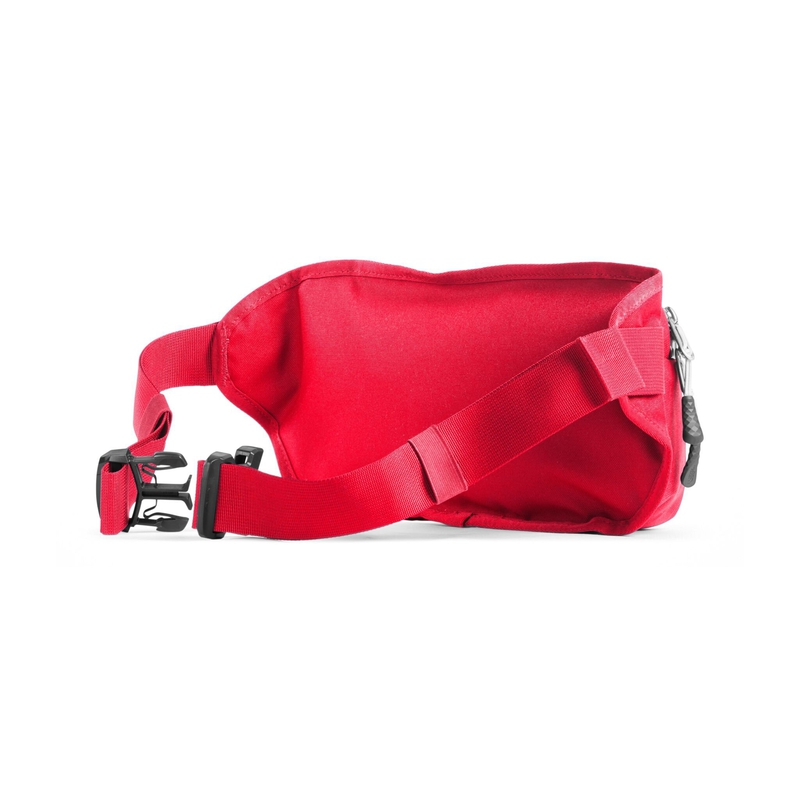 Bozer Hip Pack image number 1