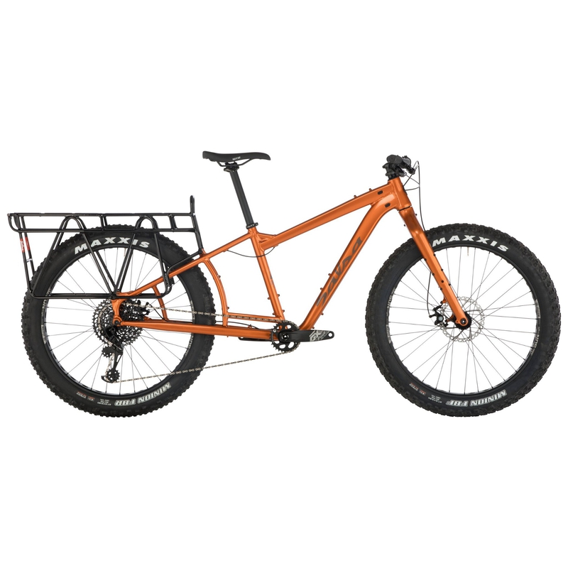 Salsa Blackborow Fat Bike