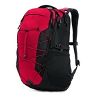 Borealis Backpack image number 1