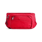 Bozer Hip Pack image number 0