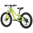 Salsa Timberjack 20 SUS PLus Kids' Bike - 2019 image number 2