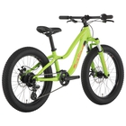 Salsa Timberjack 20 SUS PLus Kids' Bike - 2019 image number 3