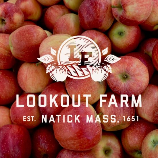 Crafting an identity and labeling system for a micro brew and cider brand.