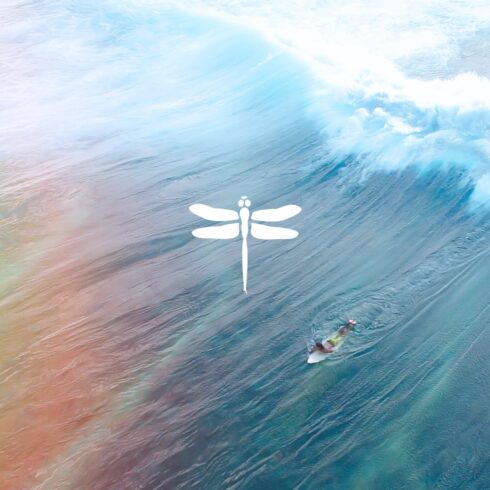 Serving up a fresh new website for a multi-location taqueria brand.