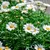 Read more about Spring 