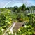 Read more about Backyard Homesteading Systems a Sustainable, Self-Sufficient Lifestyle 