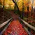 Read more about The Spookiness Of Fall