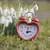 Read more about Daylight Savings Time & Me (2024 Revived)