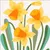 Read more about I Don’t Like Daffodils