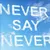 Read more about Never Say Never 