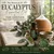 Read more about The Power of 29: Eucalyptus Essential Oil, The Opener