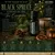 Read more about The Power of 29: Black Spruce, The Evergreen