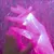 Read more about The color pink