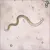Read more about Parasitic Anger