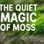 Read more about Moss