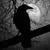 Read more about The Crow