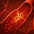 Read more about The Unknowns of Hypertension