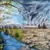 Read more about Introduction & Pollution