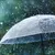 Read more about umbrella