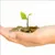 Read more about The Value of Giving: More Than Money