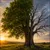 Read more about Bad Company Corrupts Good Character