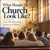 Read more about What Should the Church Look Like Today