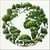 Read more about Trees of the World
