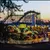 Read more about Remembering Crystal Beach Amusement Park